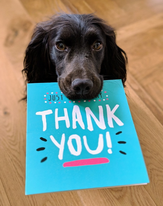 Thank you